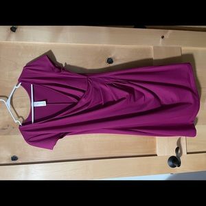 Elegant Magenta Mini Dress